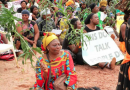 #43-18 Cameroon Crisis #43-18 Cameroon Crisis